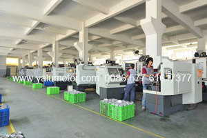 Work Shop 10